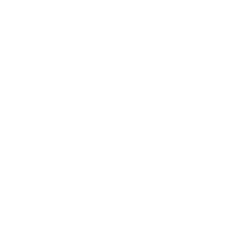 Notion Profile
